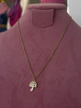 Load image into Gallery viewer, Mini hongo collar