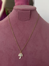Load image into Gallery viewer, Mini hongo collar
